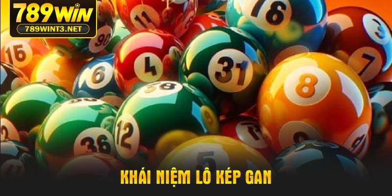 Khái niệm lô kép gan